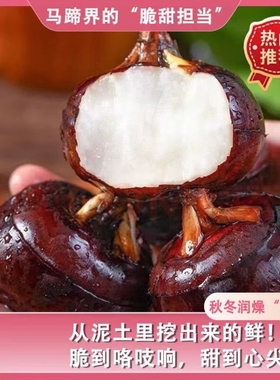 现挖正宗农家安徽现挖新鲜水果马蹄荸荠荔浦水果5蔬菜饽荠包邮