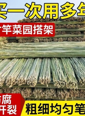 小竹杆爬藤架竹竿菜园搭架豆角竹篱笆彩旗竹竿子花架围栏竹子黄瓜