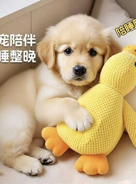 发声鸭子狗狗玩具磨牙耐咬