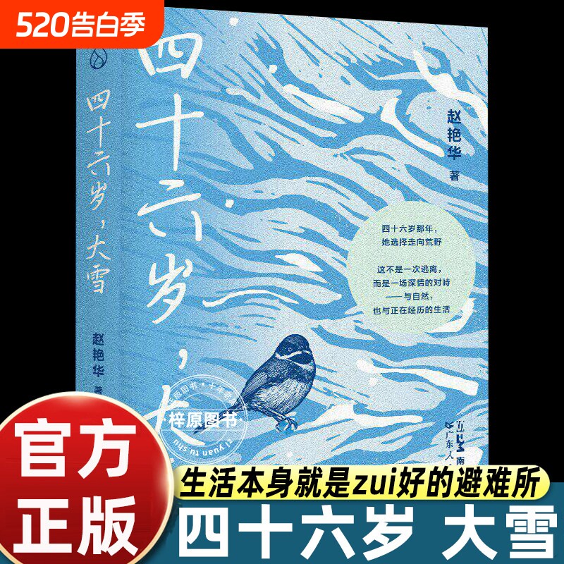 四十六岁大雪 赵艳华著 乐府文化 散文女性成长自然文学岭南公园 