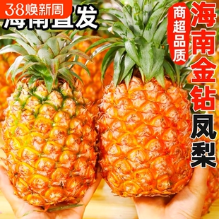 海南金钻凤梨新鲜水果当季芒果凤梨手撕菠萝特产脆甜大果应季整箱