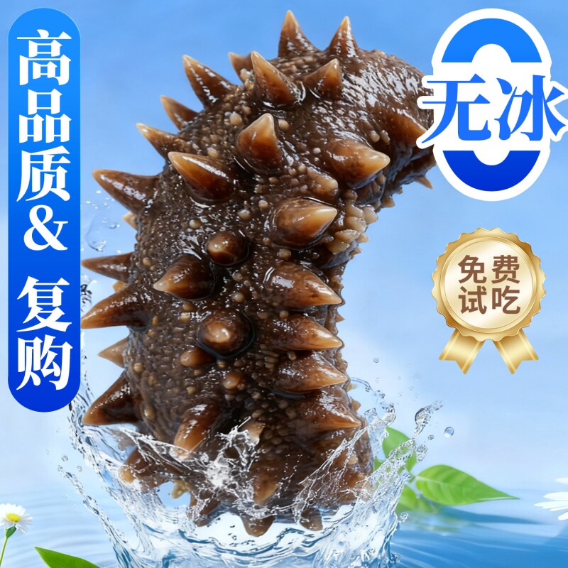 海参即食鲜活独立包装图片