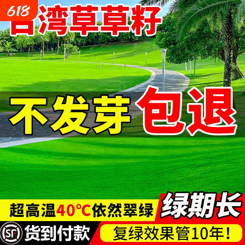 台湾草草籽矮生细叶结缕草草坪种子四季常青台湾二号种籽护坡青草
