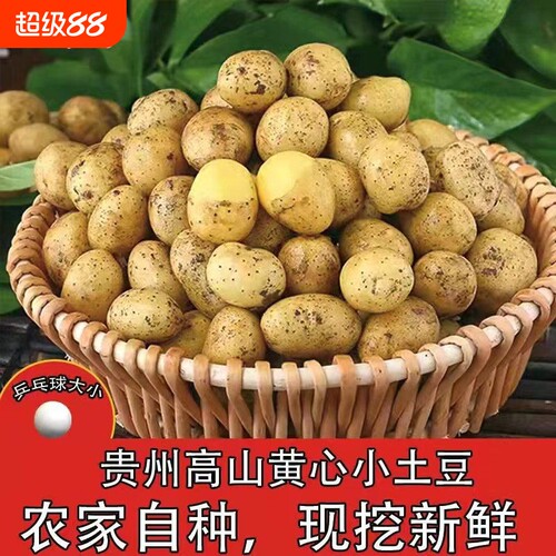正宗恩施富硒小土豆农家自种新鲜蔬菜黄心迷你当季洋芋马铃薯现挖