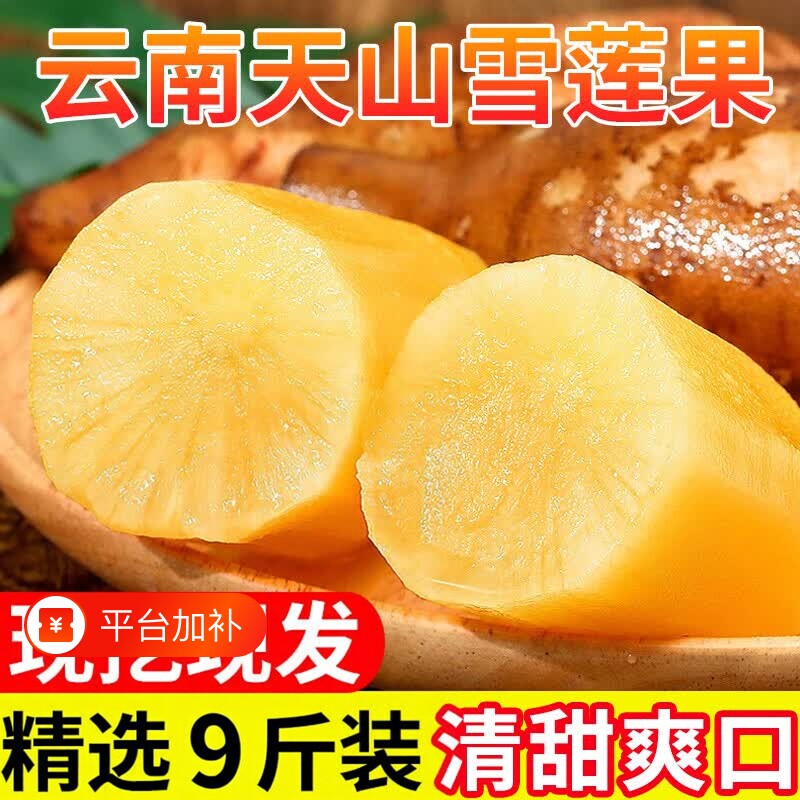 正宗云南天山雪莲果高原脆甜雪中仙果当季新鲜水果9斤包邮