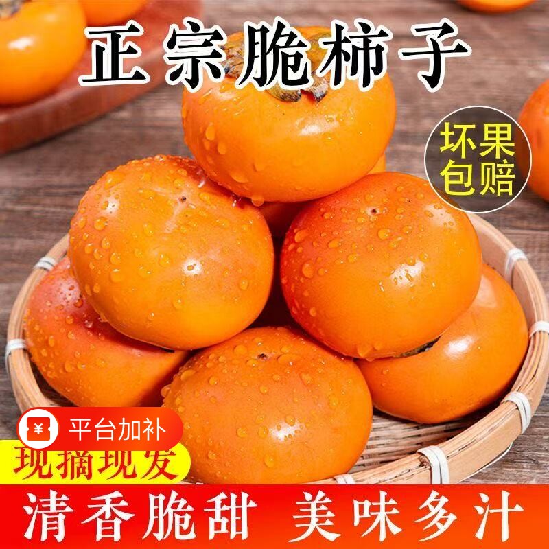 【精选】阳丰巧克力脆柿冰糖心无核当季水果现摘新鲜甜脆柿子