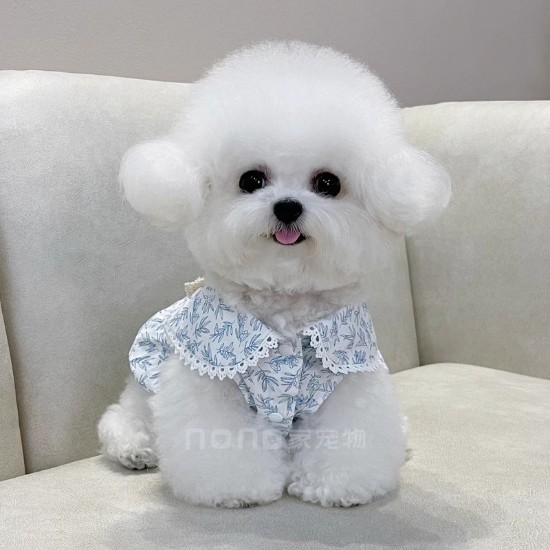 宠物衣服夏季薄款带牵引扣法式碎花仙女裙宠物小型犬比熊泰迪猫咪