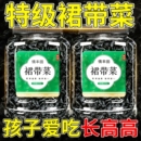 裙带菜干货特级儿童专用新鲜一级优质海藻丝海带苗婴儿官方旗舰店