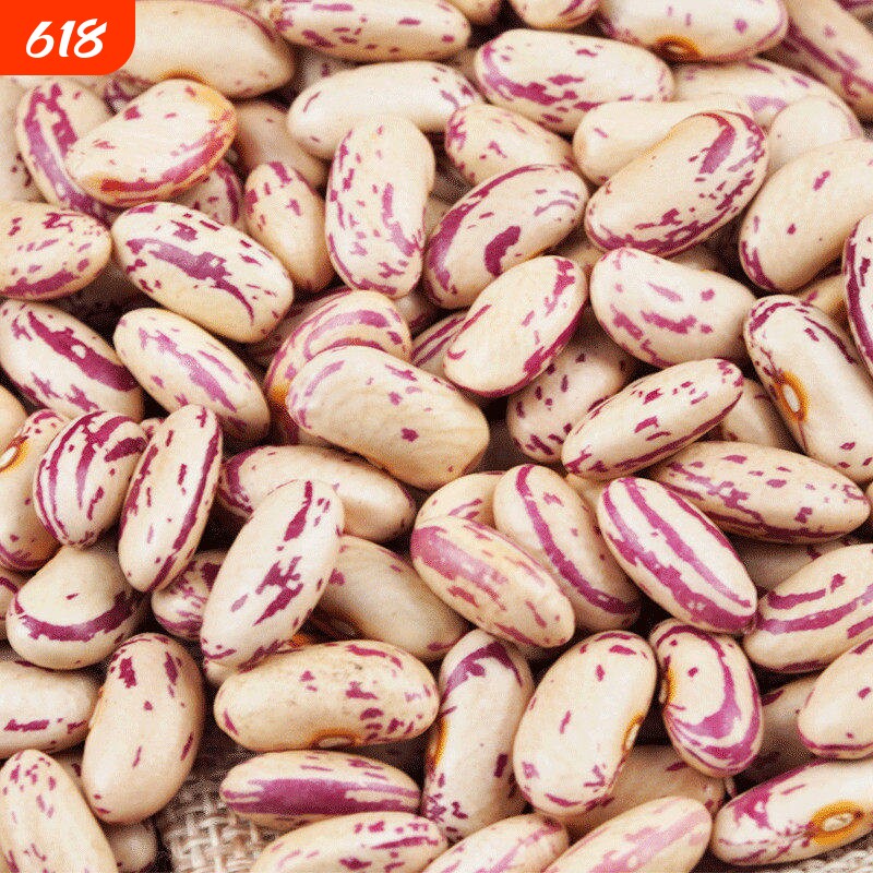 2026年新芸豆花芸豆饭豆子奶农民自产自销谷杂粮花豆散装