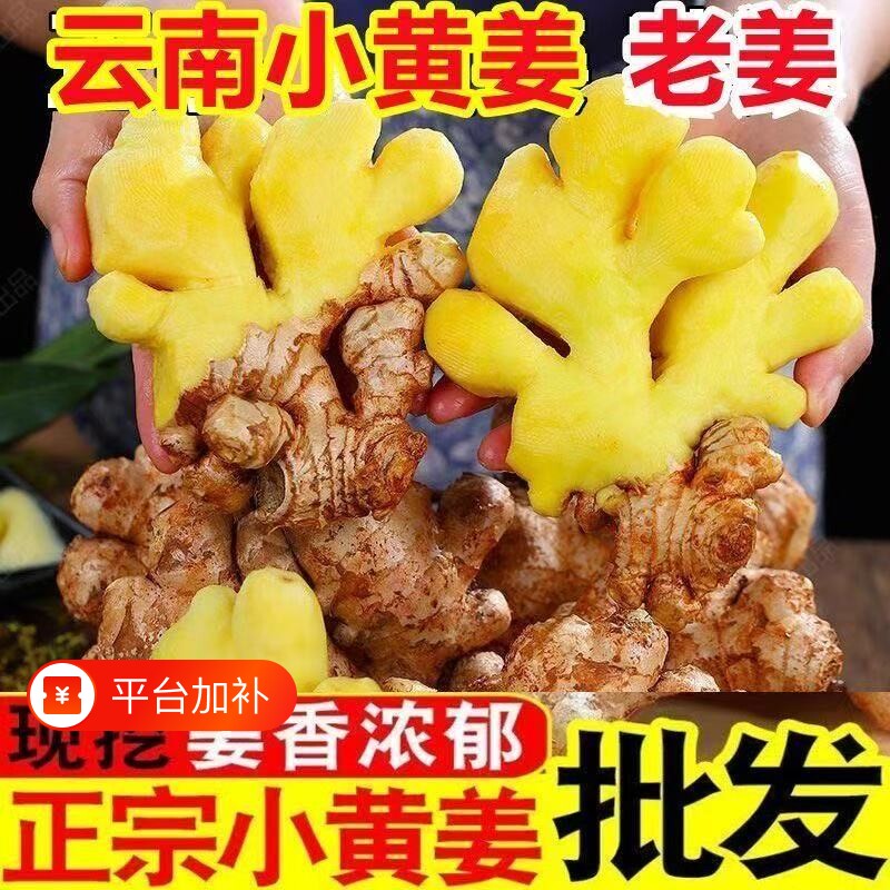 云南小黄姜老姜生姜批发蔬菜土姜干现挖月子姜辛辣鲜嫩整箱老姜