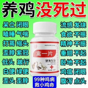 鸡病全治养鸡专用药鸡新城疫鸡瘟药感冒咳嗽禽一片鸡鸭鹅救命药
