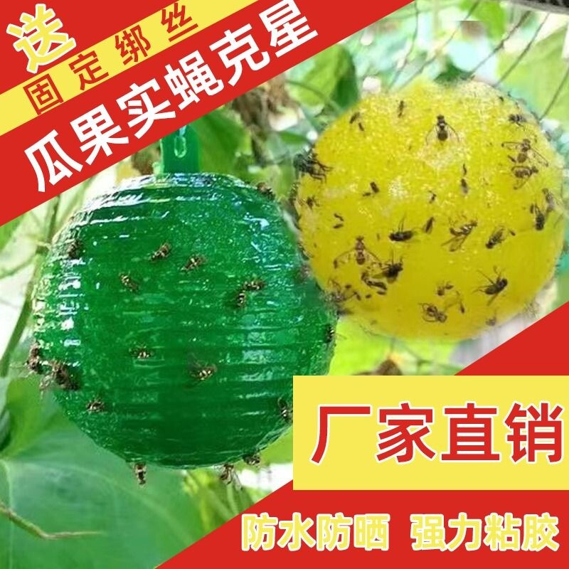 果蝇粘虫球诱蝇球瓜果园大小实蝇丝瓜柑橘大实蝇杀针蜂贴诱捕神器