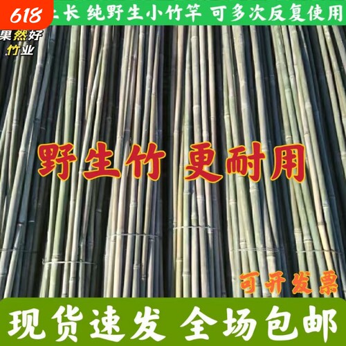 小竹子搭架菜园黄瓜豆角番茄架杆竹篱笆栅栏竹竿爬藤架支撑支架杆