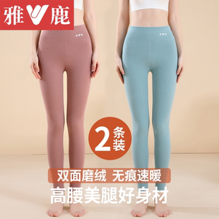 内穿打底衬裤 薄款 女款 秋裤 雅鹿保暖裤 冬季 女士加厚加绒德发热线裤