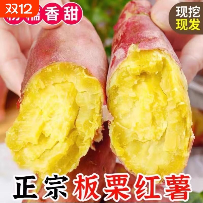 陕西板栗红薯新鲜沙地蜜薯板栗地瓜红薯山芋农家红皮蒸熟黄心番薯
