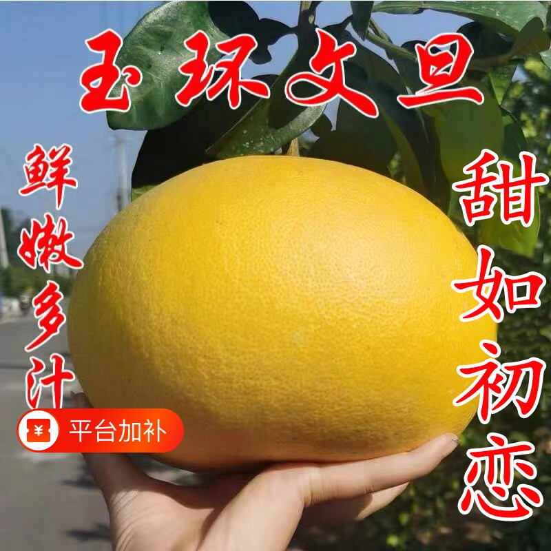 玉环文旦正宗柚子当季整箱孕妇新鲜水果蜜柚浙江台州楚门特产包邮