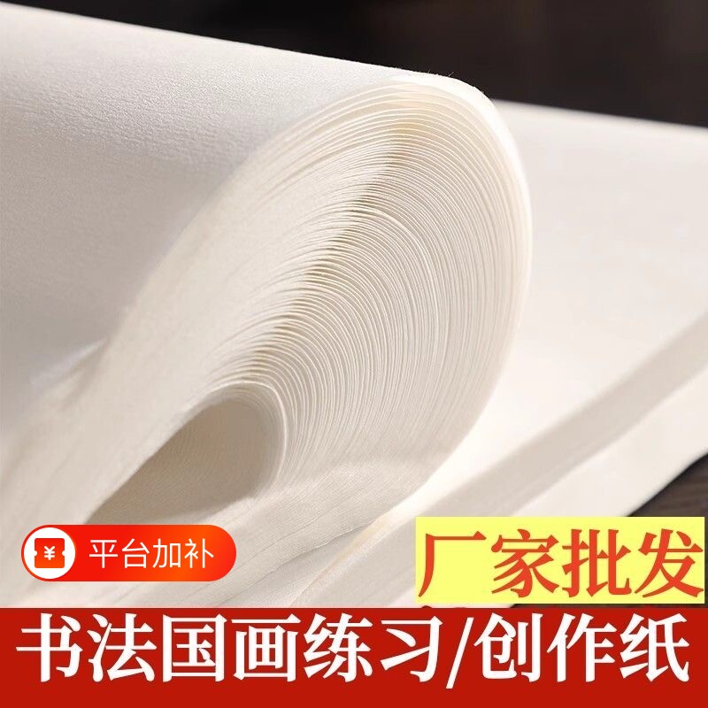 书画纸国画生纸作品纸工笔画熟纸初学者书法练习纸毛笔字的纸练字纸半生半熟四尺对开书法纸小楷六尺三尺适合