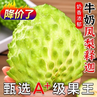 批发高端云南凤梨释迦佛头果番荔枝新鲜水果整箱孕妇软糯大果优选