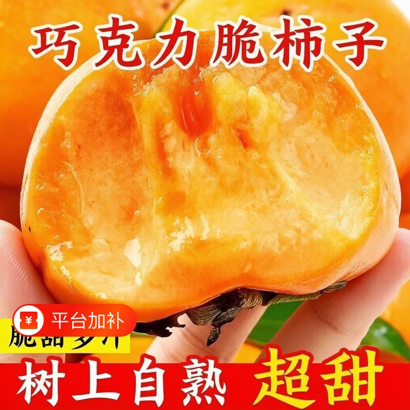 头茬】2026巧克力脆柿子生吃甜脆柿子山西硬柿子无核批发应季水