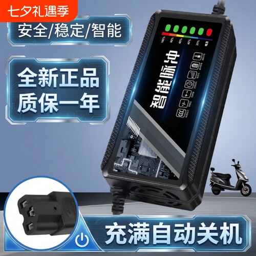48v电动车充电器适用于爱玛