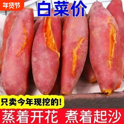 新鲜蜜薯9斤板栗红薯沙地糖心地瓜农家自种番薯黄心香薯山芋红心