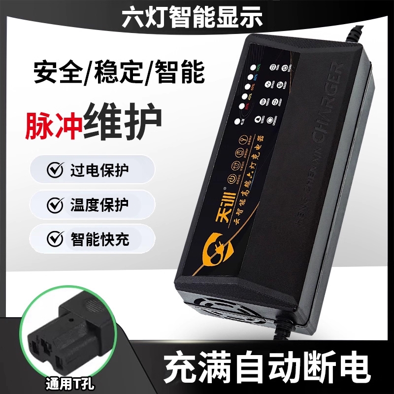 电动车48v12ah充电器适用爱玛