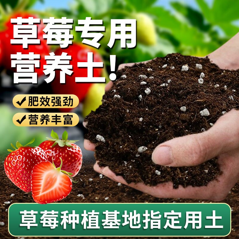 草莓专用营养土盆栽种植土泥土蔬菜种菜育苗土壤阳台肥料批发通用