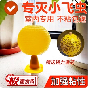 果蝇诱捕器粘虫板小飞虫灭杀神器室内去除飞虫克星厨房蠓虫诱苍蝇