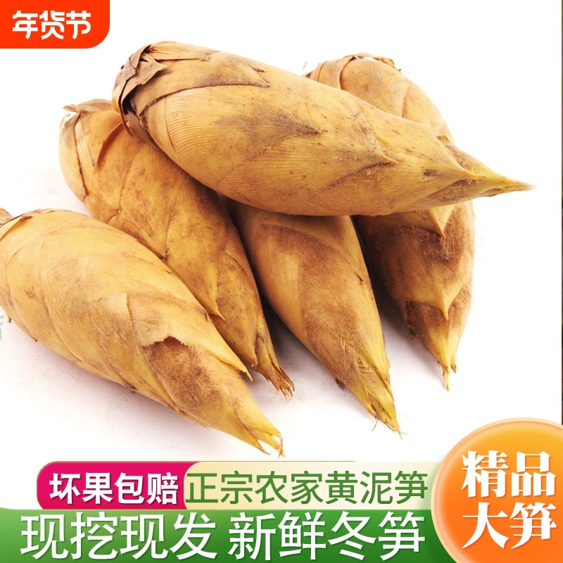 【整箱包邮】冬笋新鲜现挖浙江临安天目山黄泥带壳毛竹笋火锅蔬菜