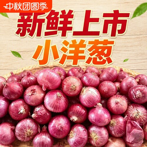 水果新鲜珍珠小洋葱小圆葱紫红皮生吃凉拌葱味浓香整箱紫皮脆甜