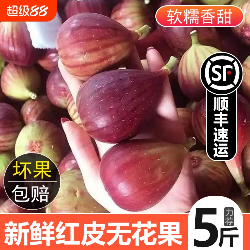顺丰 四川新鲜现摘无花果红皮鲜果孕妇儿童可食熟果紫皮现采包邮