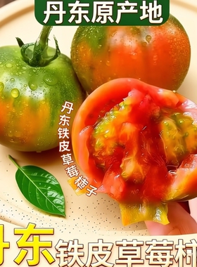 正宗铁皮草莓柿子5斤现摘碱地新鲜自然熟绿腚番茄水果农家西红柿