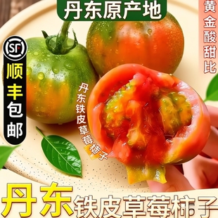 正宗铁皮草莓柿子5斤现摘碱地新鲜自然熟绿腚番茄水果农家西红柿