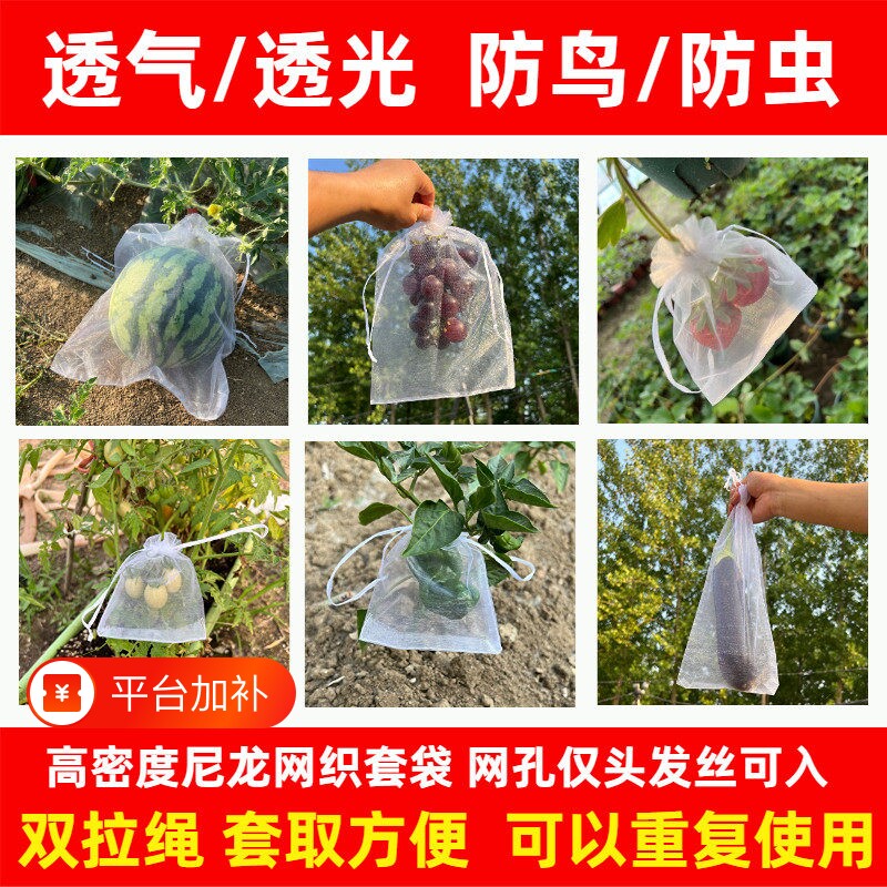 套袋果袋桃子苹果西瓜草莓蓝莓火龙果黄瓜番茄果蔬通用防虫防鸟袋