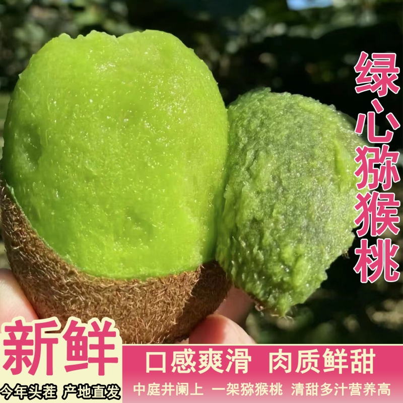 修文猕猴桃当季绿心奇异果现摘现发水果酸甜可口批发大果精选