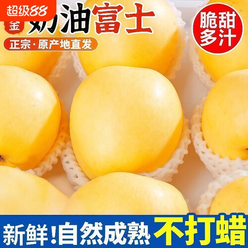 山东烟台黄金奶油富士苹果脆甜多汁当季新鲜水果现摘整箱时令鲜果
