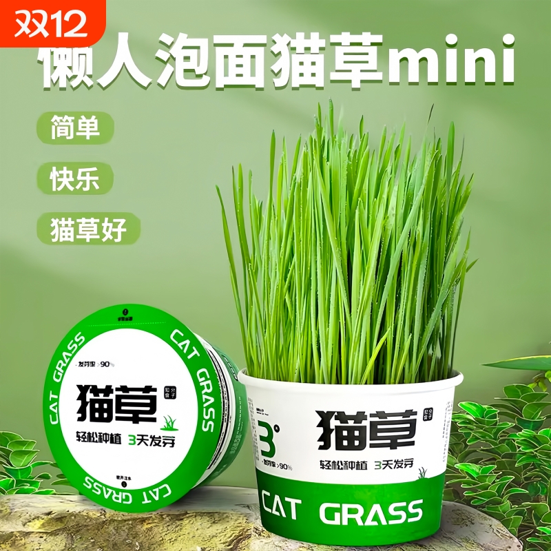 美国品质猫草盆栽种植助化毛懒人水培盆子猫薄荷猫咪零食用品