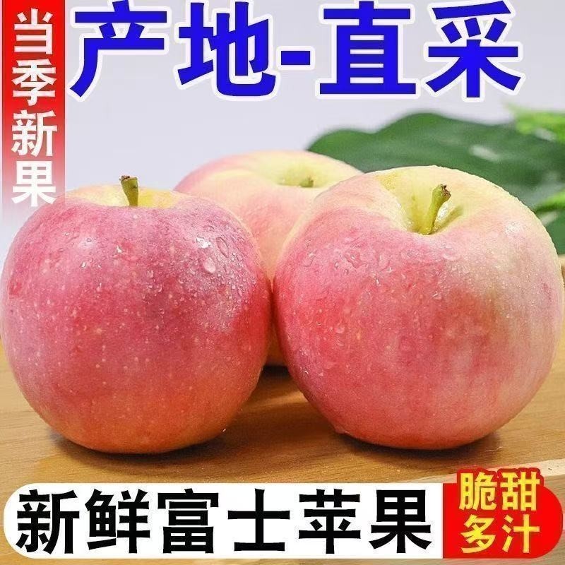 超脆甜正宗红富士苹果新鲜多汁苹果应季水果脆甜爽口包邮整箱当季,水产肉类/新鲜蔬果/熟食,苹果,淘宝优惠券,粉丝福利购,淘宝优惠卷