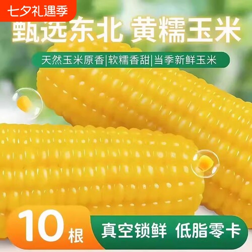 东北玉米棒真空包装|千人加购