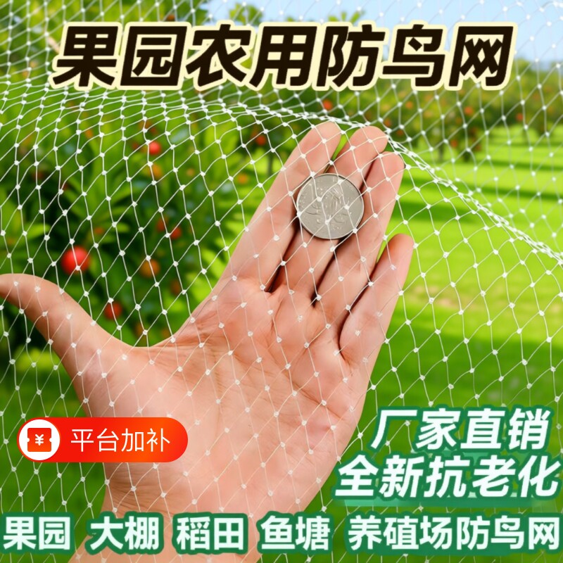 果树防鸟网用网葡萄杨梅树防护网尼龙防鸟鸽子麻雀网小鸟果园鸟类
