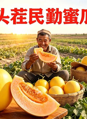 正宗甘肃民勤蜜瓜新鲜水果黄河蜜当季整箱大果金红宝甜瓜产地直发