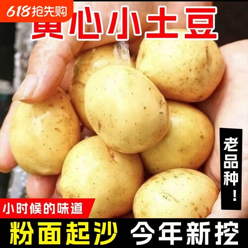 新鲜恩施富硒小土豆迷你