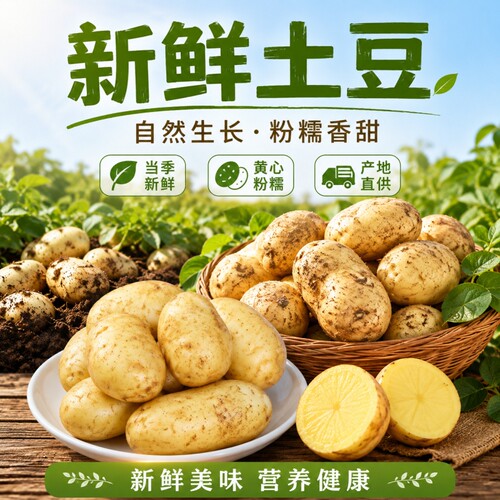 正宗黄皮土豆5斤|超1000次加购
