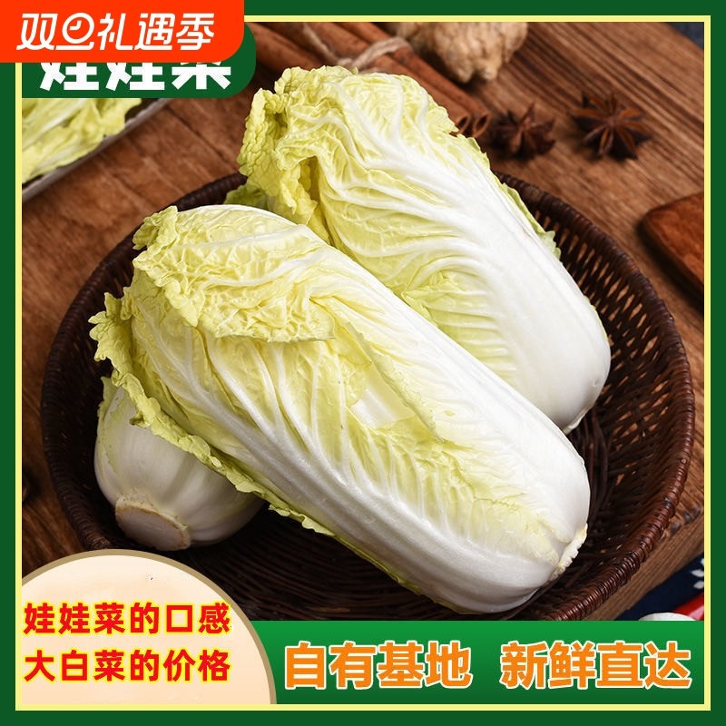 农家娃娃菜新鲜露天霜冻湖北黄心菜应季蔬菜5斤小白菜可做泡菜