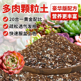 多肉专用颗粒土多肉土营养土壤种植土思威博花土盆栽纯颗粒铺面石