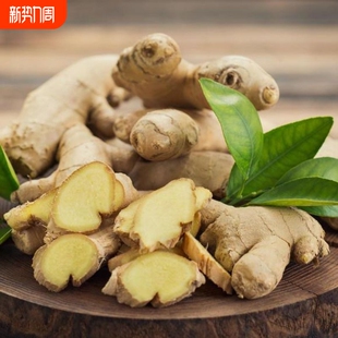 山东大姜老姜 生姜无残留现挖新鲜大块姜老黄姜月子姜