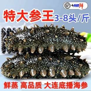 即食海参鲜活大连野生海生辽参刺参特价装非干货水产冷冻滋补底播