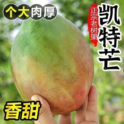 四川攀枝花凯特芒果新鲜大芒果当季孕妇小孩水果