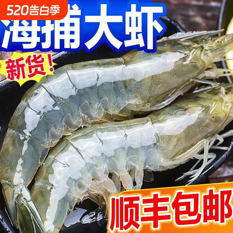 2.8斤青岛大虾鲜活冷冻顺丰包邮基围虾特大新鲜白虾水产批发海捕