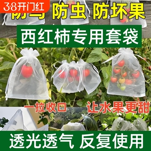水果套袋防虫网袋防鸟桃子西红柿包瓜果专用保护袋子葡萄石榴柿子